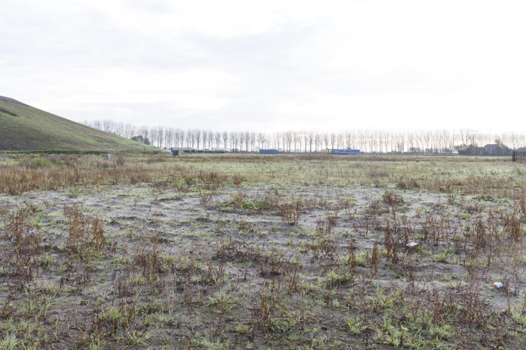 Foto van Alkmaar Boekelermeer