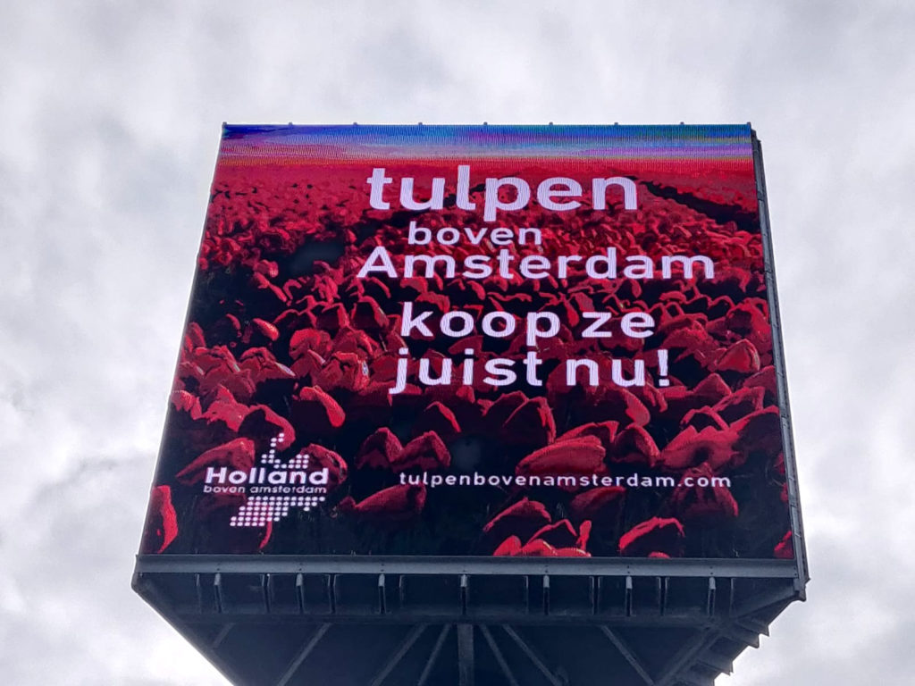 Foto van scherm van tulpen boven amsterdam