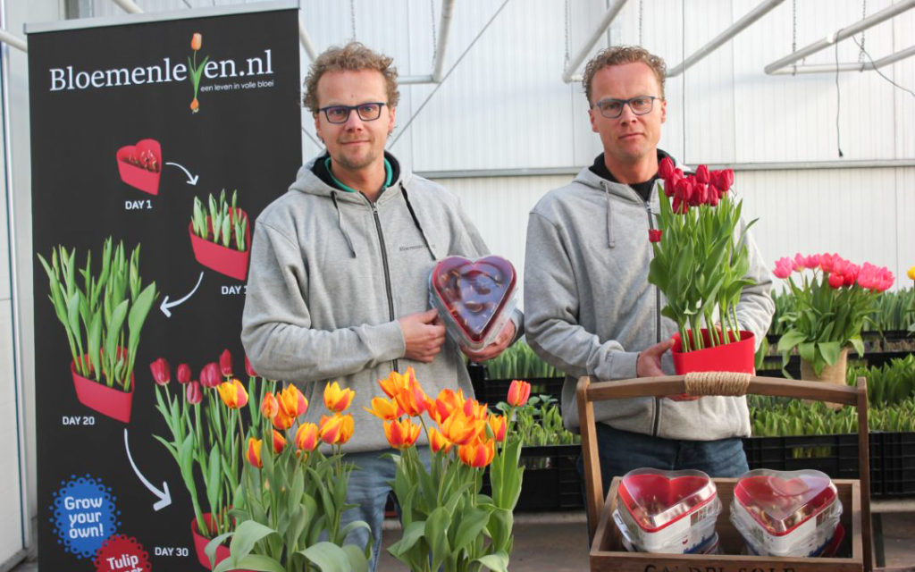 Twee mannen op de foto met tulpen