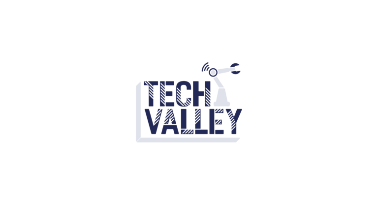 Logo - Techvalley
