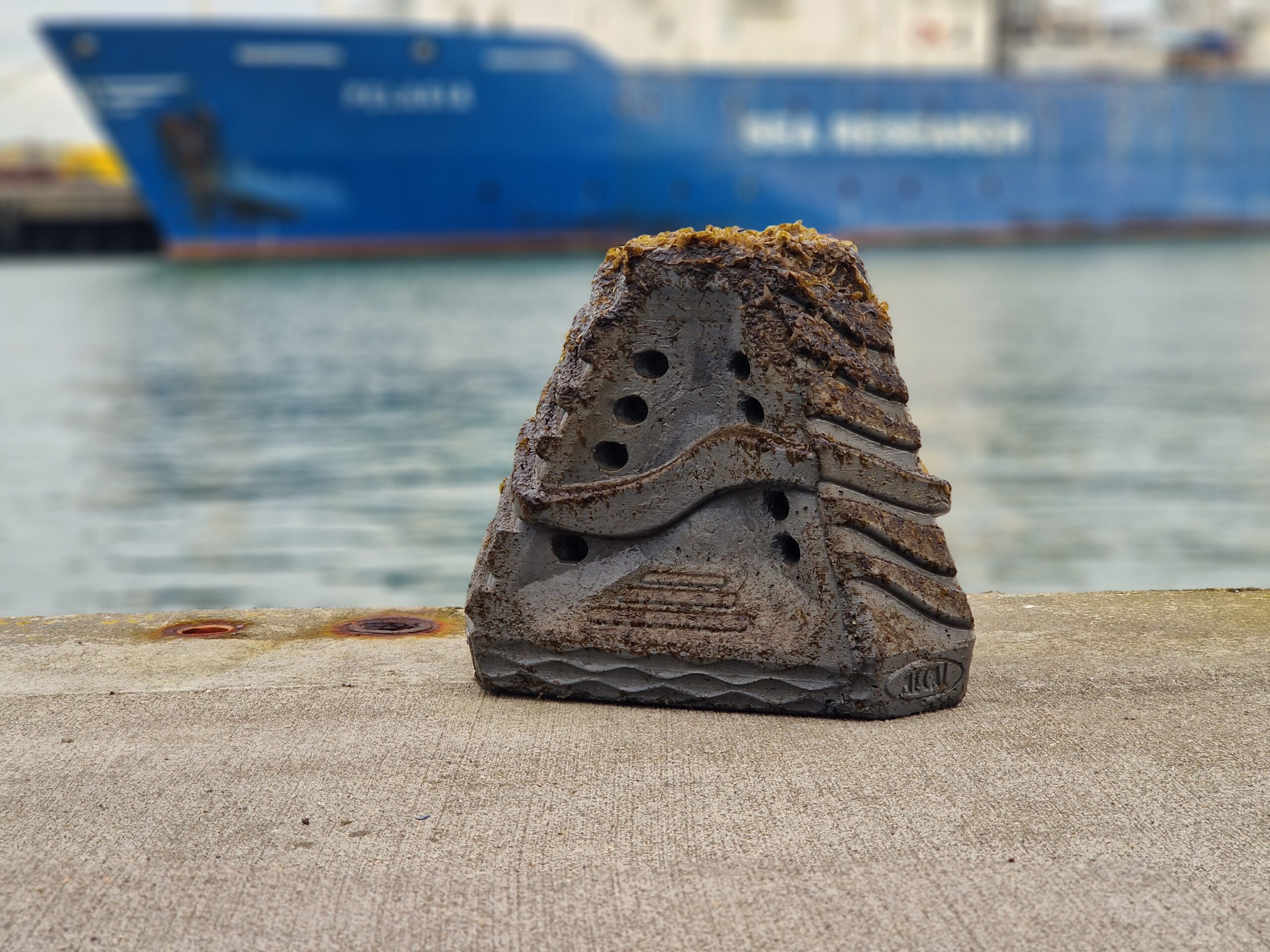 Zeewier module voor groei zeewier