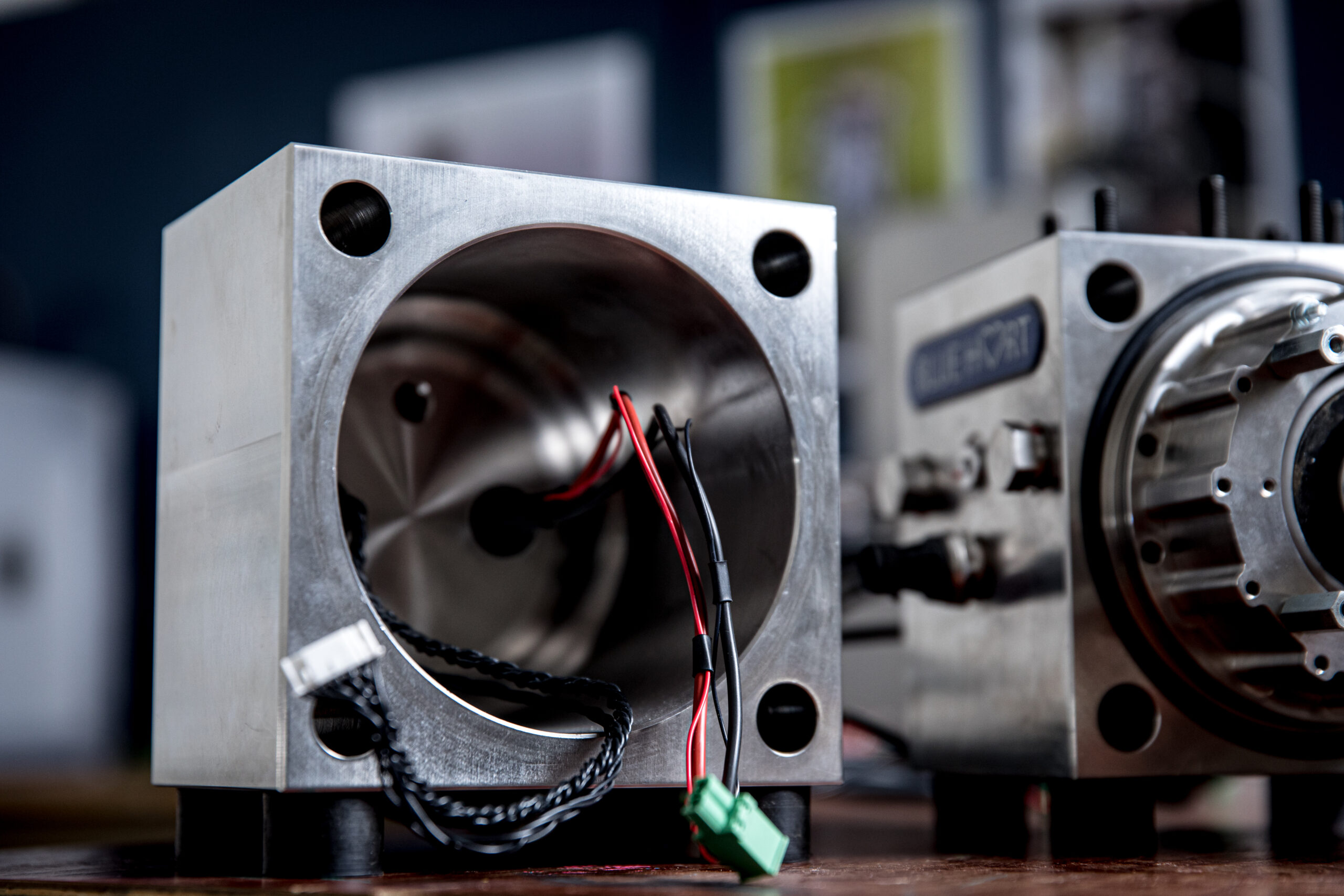 Blueheart _MG_0510_NL