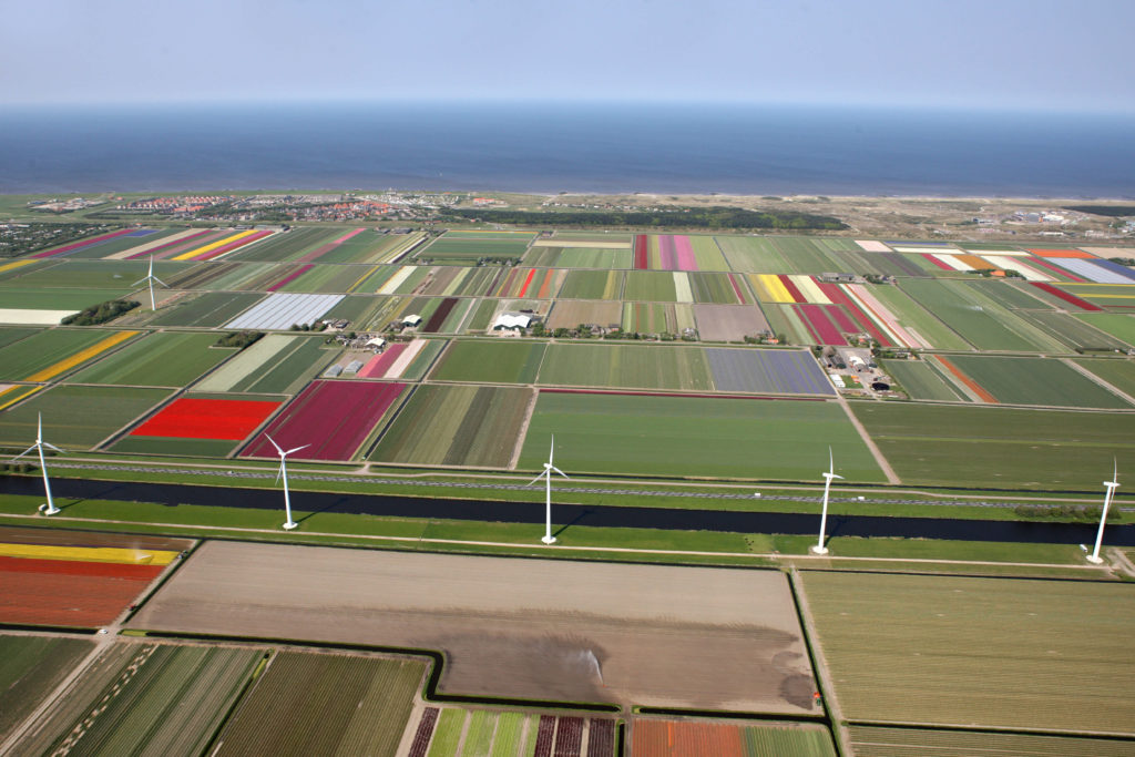 Luchtfoto van bloemenvelden